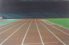 Athleticstrack4.jpg (42k)