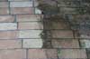 Brick Pavers